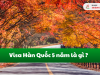 Visa 5 năm Hàn Quốc là gì? Nắm rõ thủ tục xin visa 2025 trong 5 phút