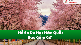 Hồ Sơ Du Học Hàn Quốc