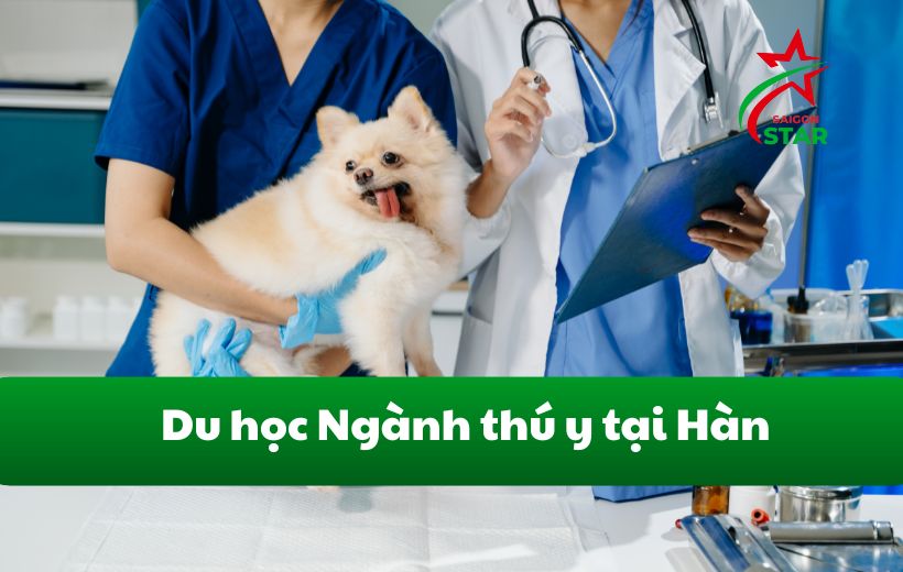 Du học Hàn Quốc ngành thú y như thế nào?